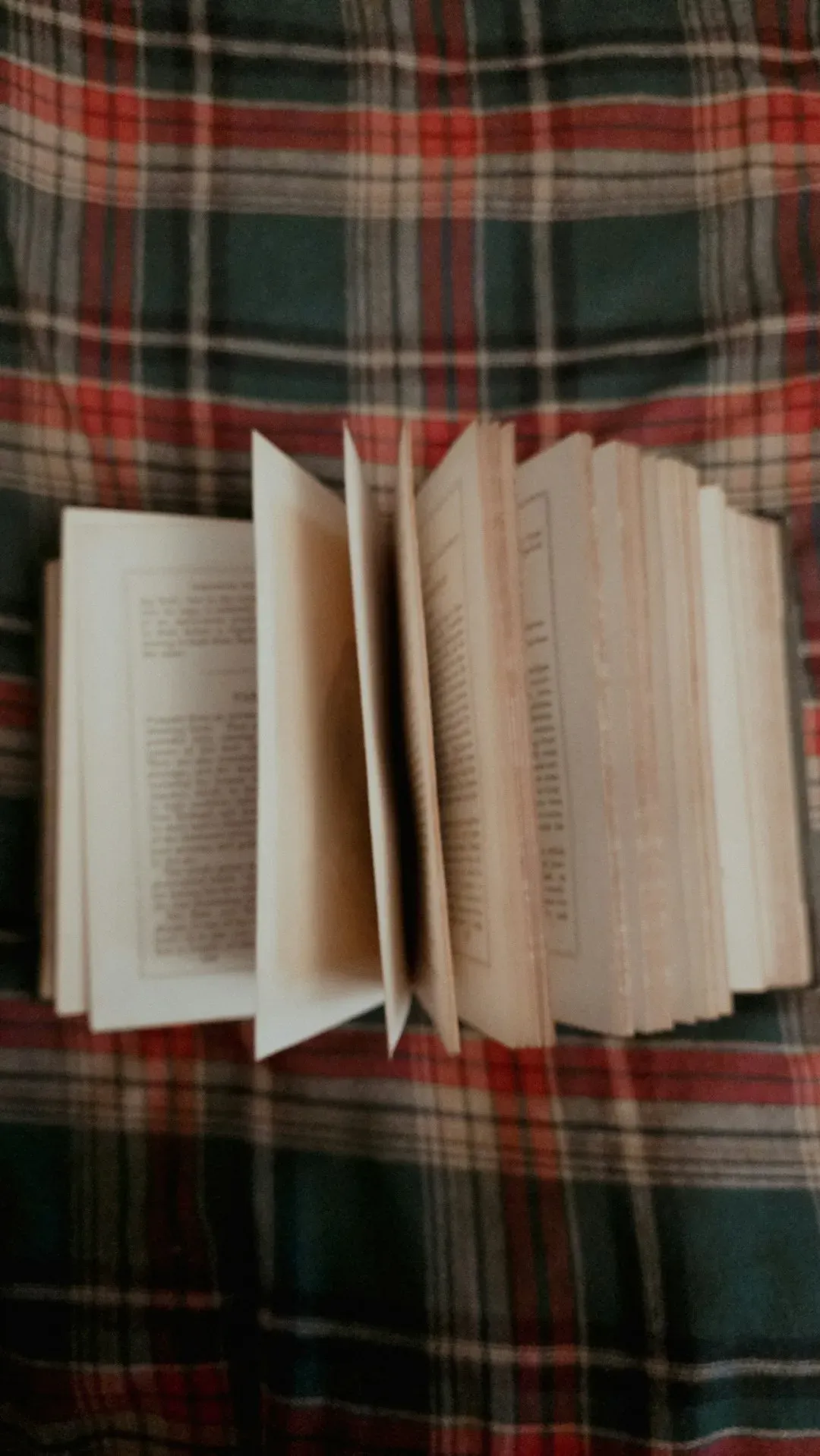 3. The Secret History by Donna Tartt (Image Credits: Unsplash)