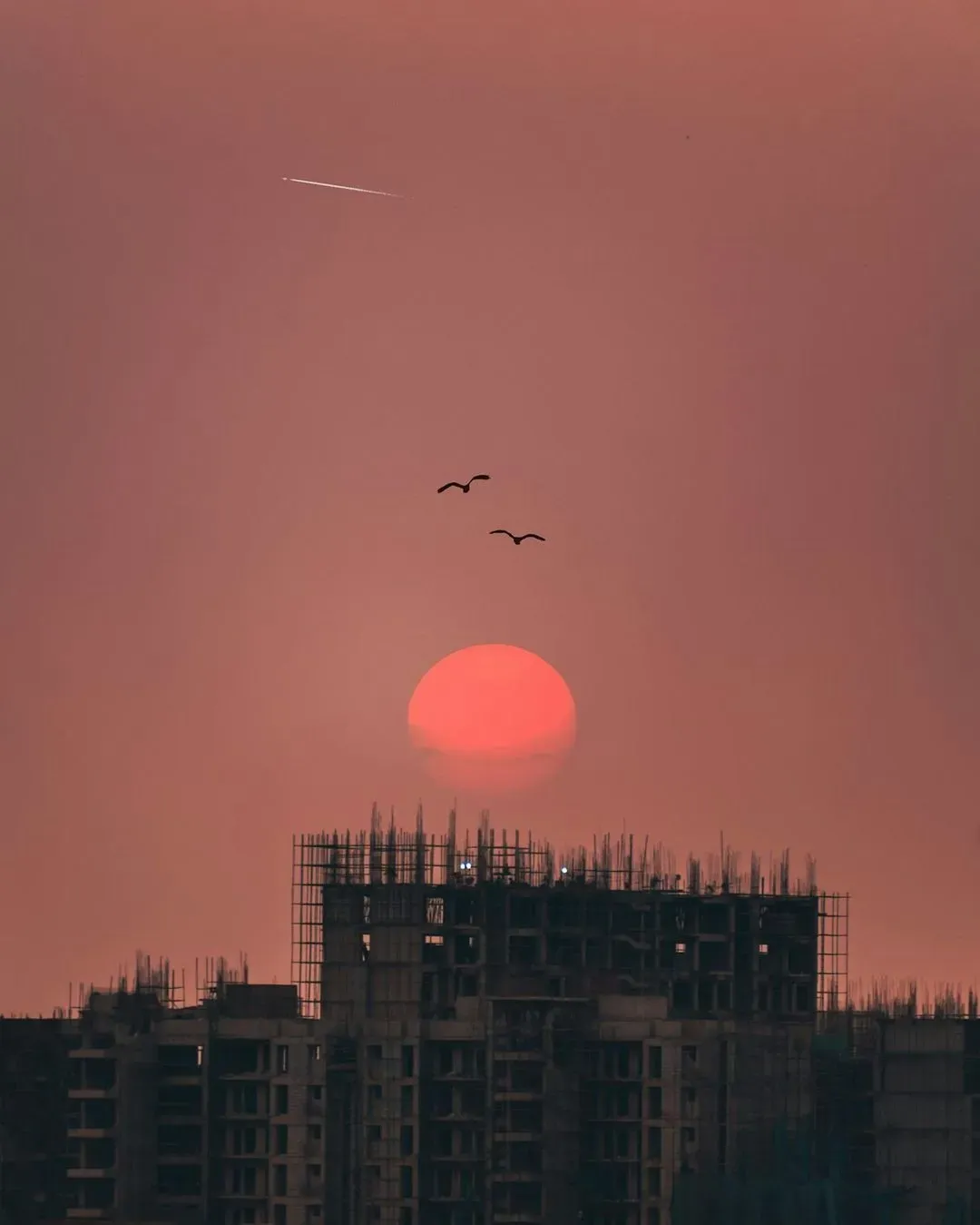 Sunrise on the Reaping by Suzanne Collins (Image Credits: Unsplash)