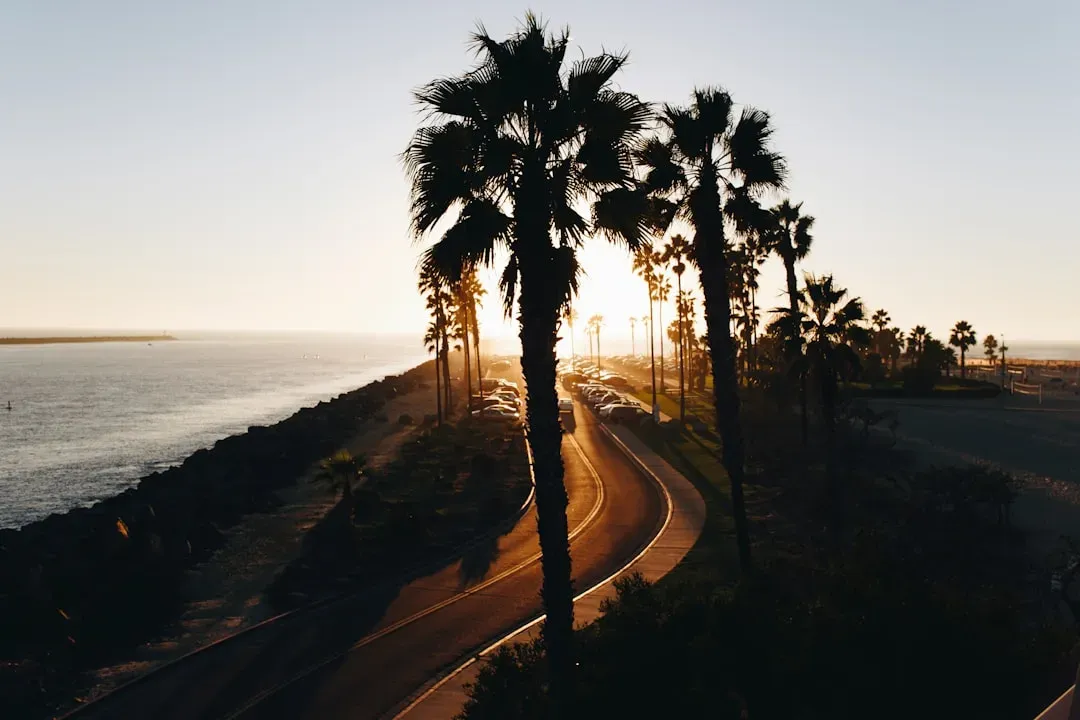 15. "California Dreamin'" - The Mamas and the Papas (1965) (Image Credits: Unsplash)