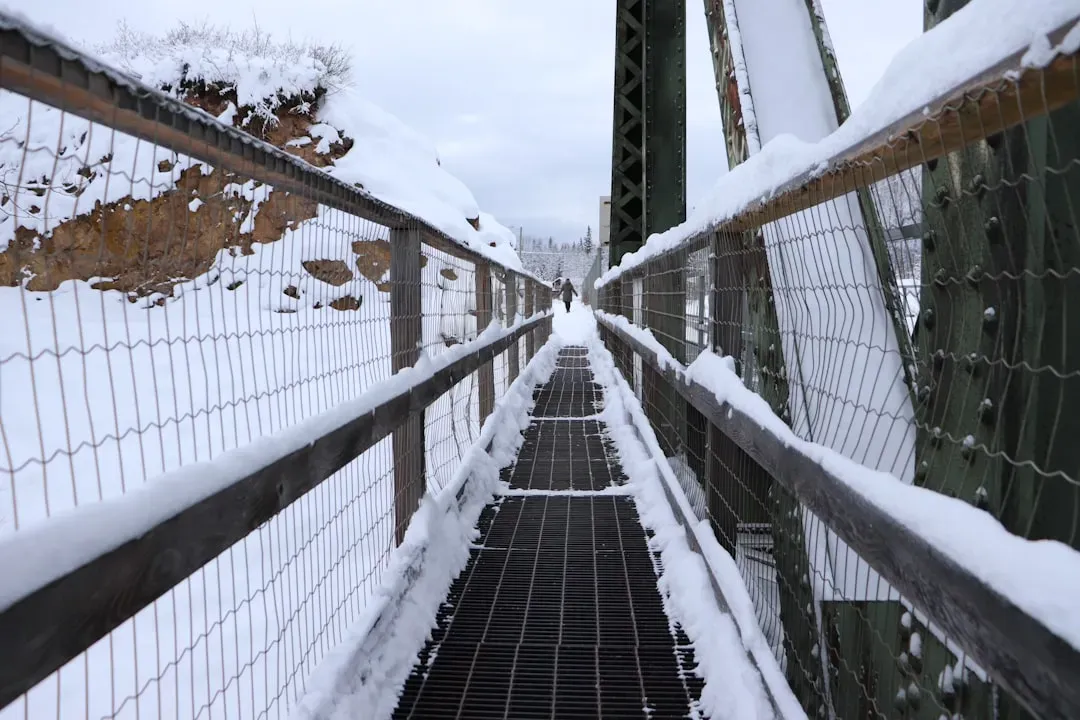 Bridges and Overpasses: Where Ice Forms First and Fastest (Image Credits: Unsplash)