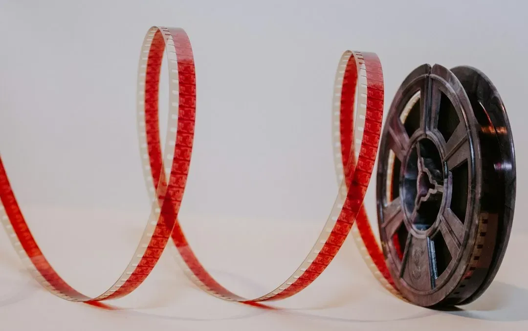 Screening Nitrate Safely and Disposing of Decayed Reels (Image Credits: Unsplash)