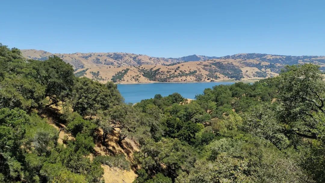 A Reservoir Built on Borrowed Time (Image Credits: Unsplash)