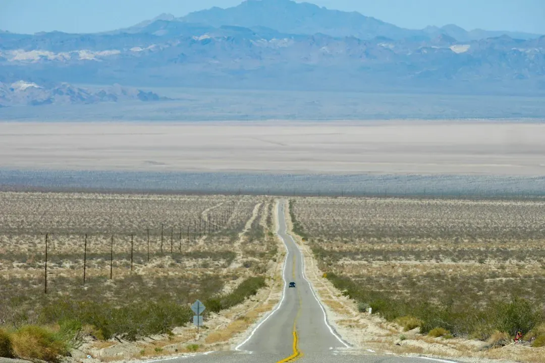 Thelma & Louise (1991) (Image Credits: Unsplash)