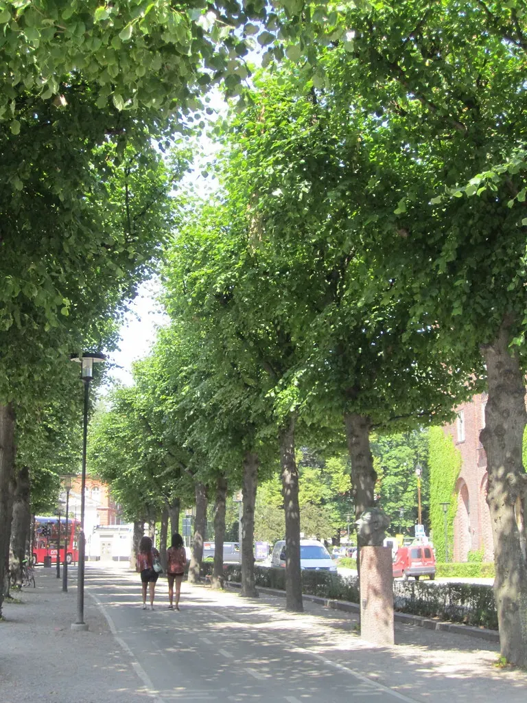 5. Spring Valley: Mature Trees, Real Grass, and a Neighborhood That Feels Lived-In (La Citta Vita, Flickr, CC BY-SA 2.0)