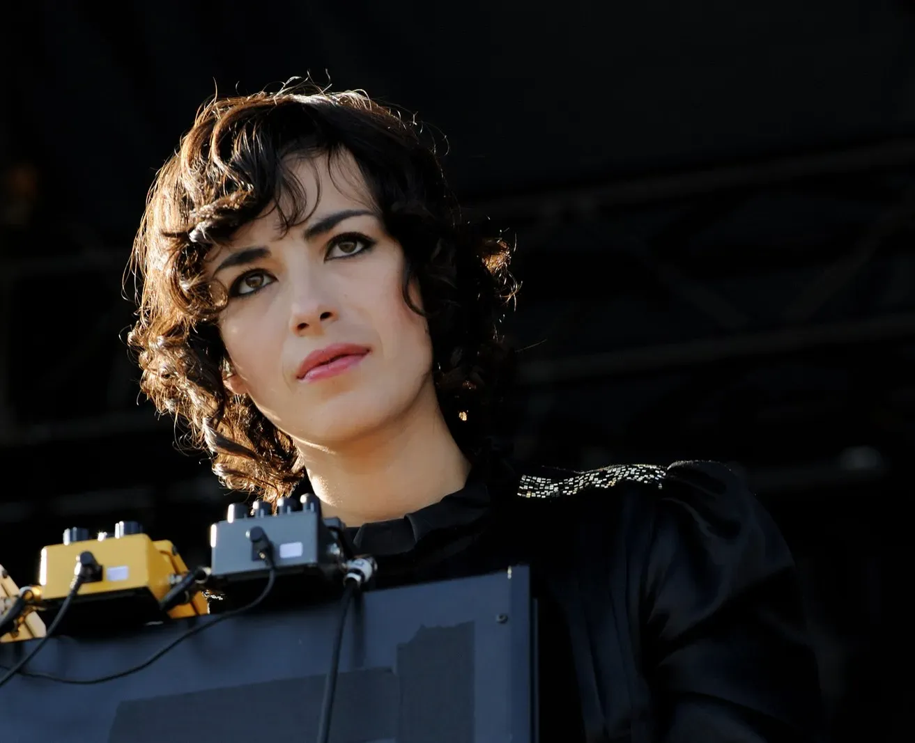 7. Mira Aroyo – Ladytron's Synth Voice Was a Geneticist at Oxford (Image Credits: Wikimedia)
