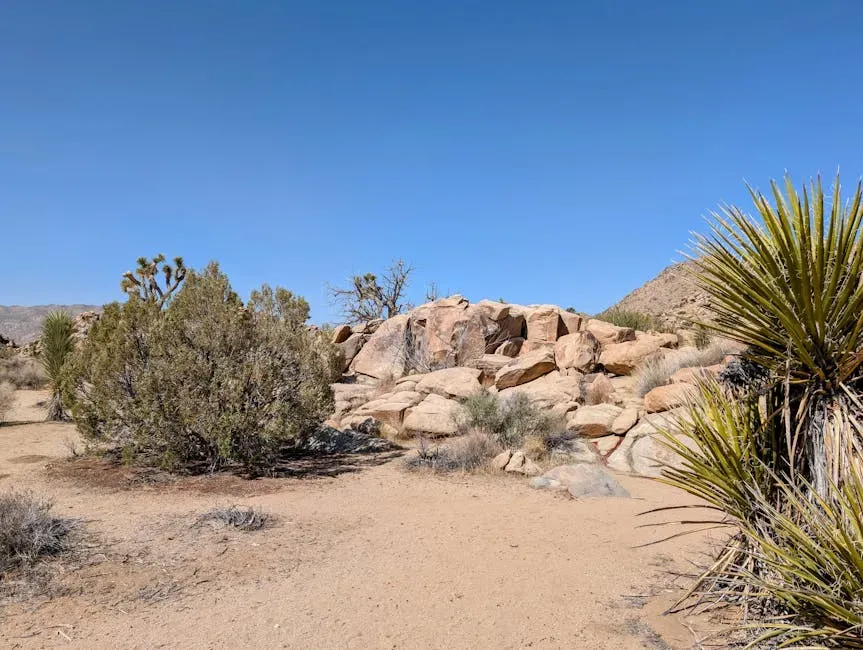 8. Springs Preserve Nature Trails (Image Credits: Pexels)