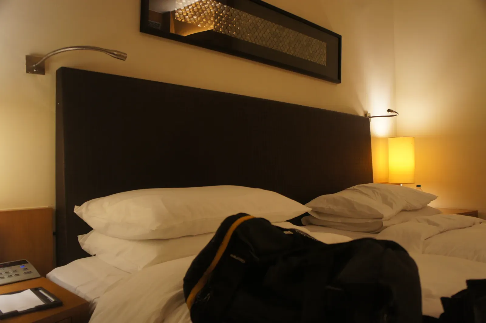 The Whale Factor: When Comps Become Truly Lavish (By Fredericknoronha, CC BY-SA 4.0)