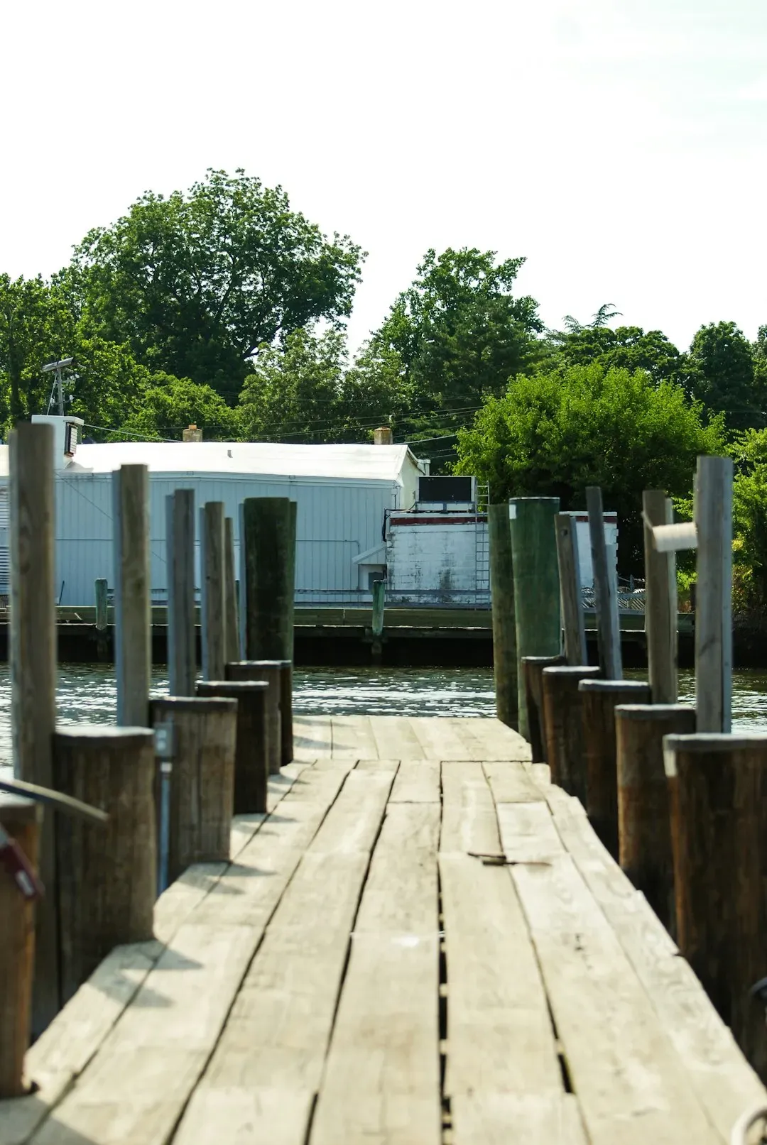 Roskilde Festival Champions Water Conservation (Image Credits: Unsplash)