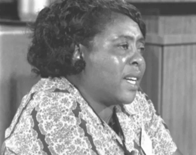 Fannie Lou Hamer and the fight for a seat at the table (Image Credits: Rawpixel)