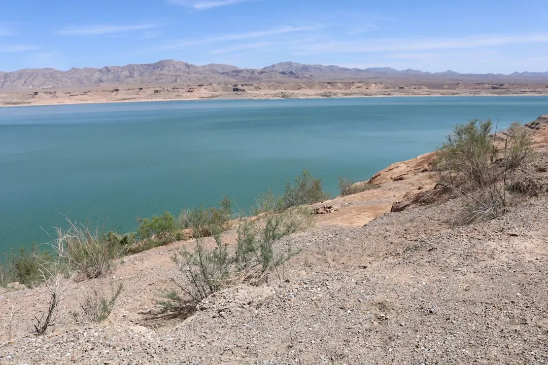 Outdoor Recreation at Your Doorstep (Image Credits: Unsplash)