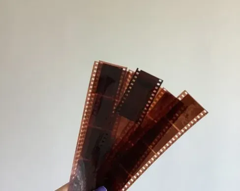 Understanding What Makes Nitrate Different (Image Credits: Pexels)