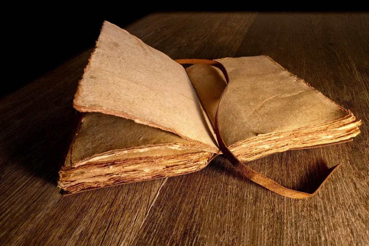 5. Emilie Davis's Civil War Pocket Diaries - Giving the Voiceless a Historical Stage (Image Credits: Pixabay)