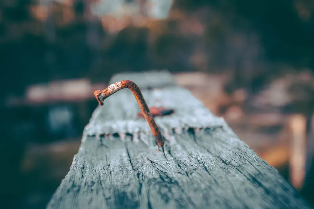6. Knocking on Wood (Image Credits: Unsplash)