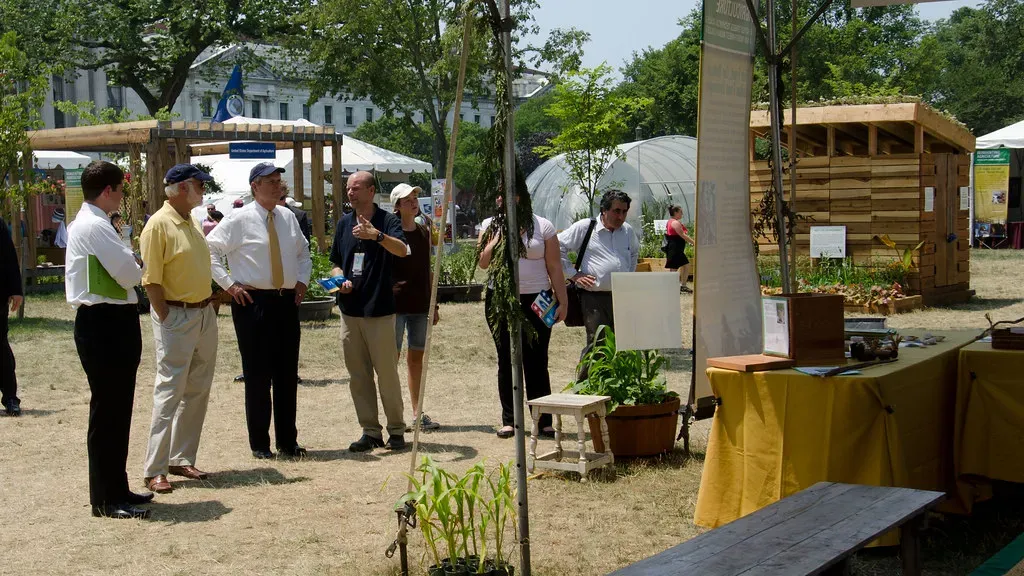 The Reality of Medical Emergencies at Festivals (Image Credits: Flickr)