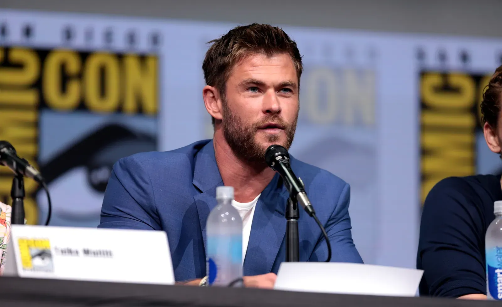 2. Chris and Liam Hemsworth in The Dressmaker's Era of Shared Credits (Image Credits: Wikimedia)