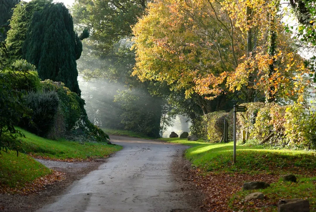 6. "The Remains of the Day" by Kazuo Ishiguro - England, Regret, and the Road Between (Image Credits: Unsplash)