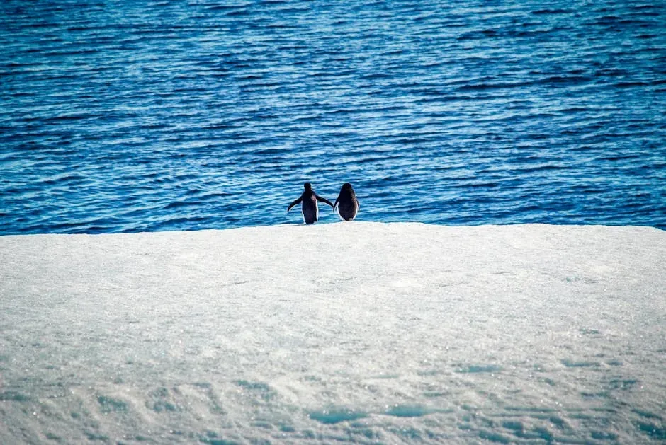 3. Ice Planet Barbarians by Ruby Dixon (Image Credits: Pexels)