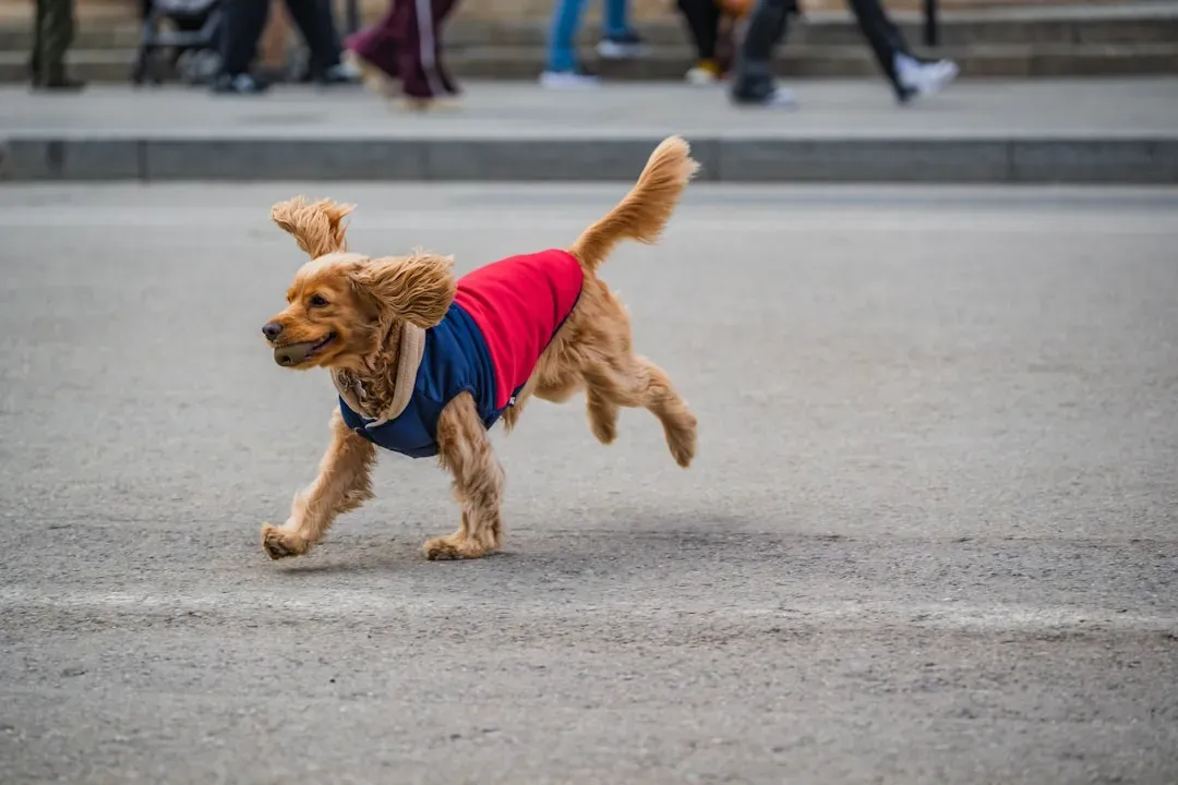 Fairness, Justice, and the Human Need to Level the Playing Field (Image Credits: Unsplash)