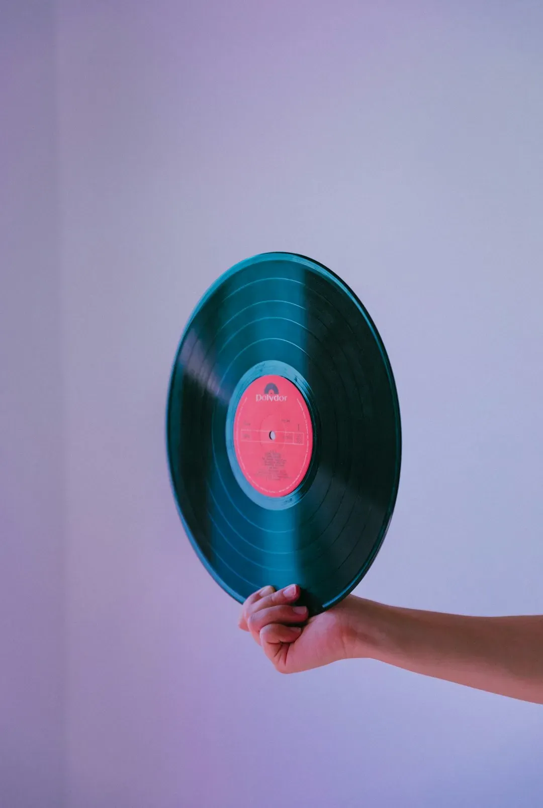 It Takes a Nation of Millions to Hold Us Back by Public Enemy (1988) (Image Credits: Unsplash)