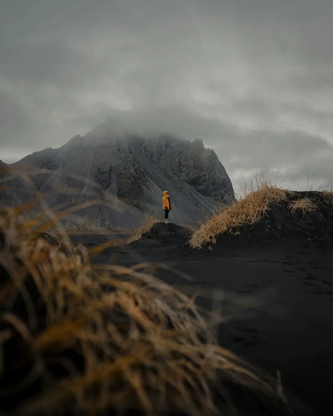 Where the Wild Things Are by Maurice Sendak (Image Credits: Unsplash)