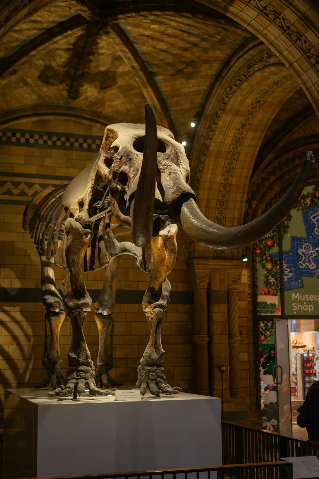 Ice Age Fossils State Park: A Prehistoric Jackpot Near the Strip (Image Credits: Unsplash)