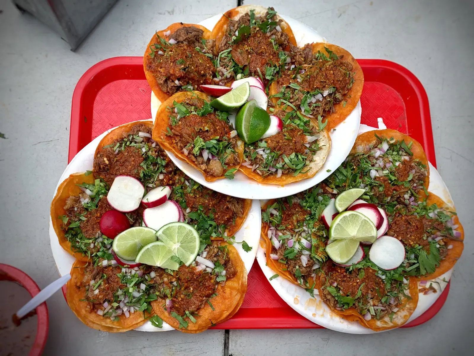 1. Birria Tacos: The Drippiest Star on Any Festival Lineup (By T.Tseng, CC BY 2.0)