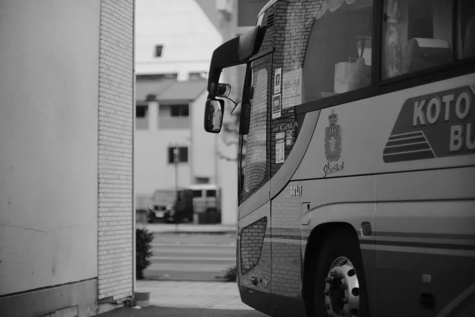 1. Cat People (1942) and the birth of the "Lewton Bus" (Image Credits: Pexels)