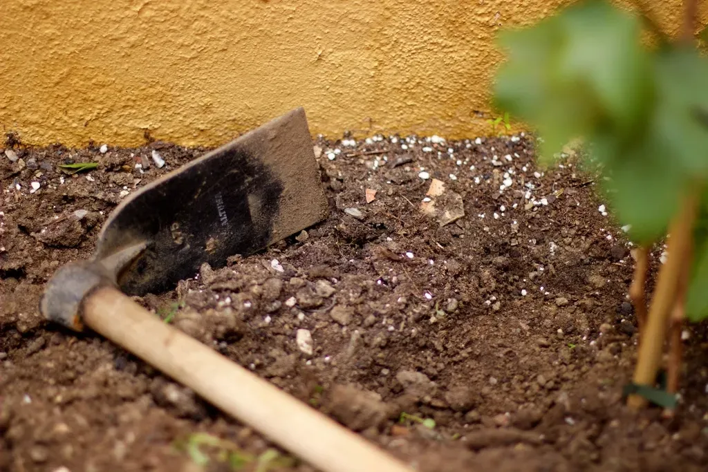 Focus on Soil Health: Your Garden's Foundation (Image Credits: Rawpixel)