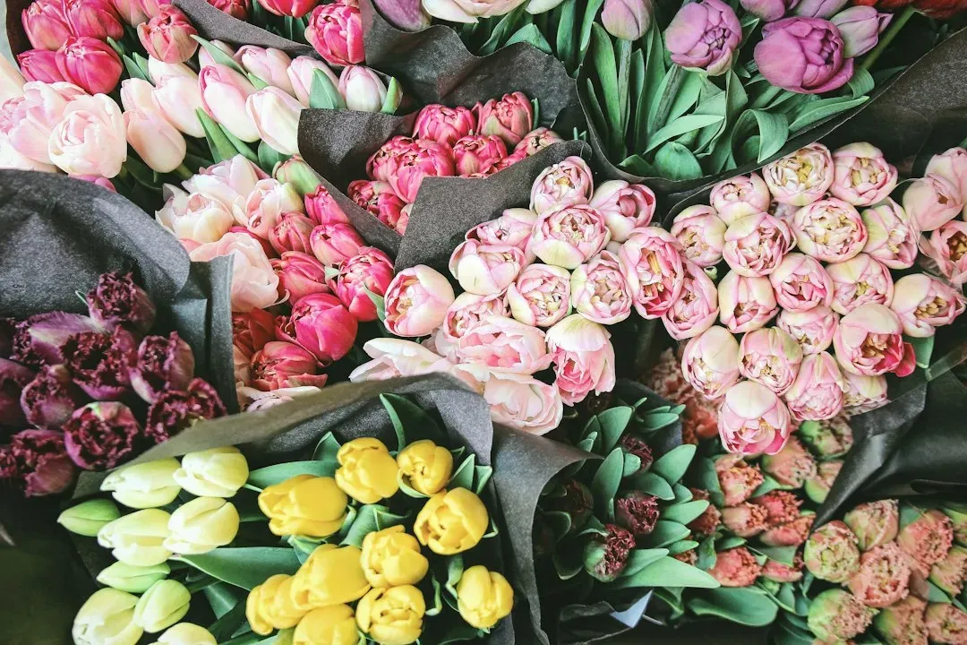 Clue Nine: Flowers for a Party (Image Credits: Unsplash)