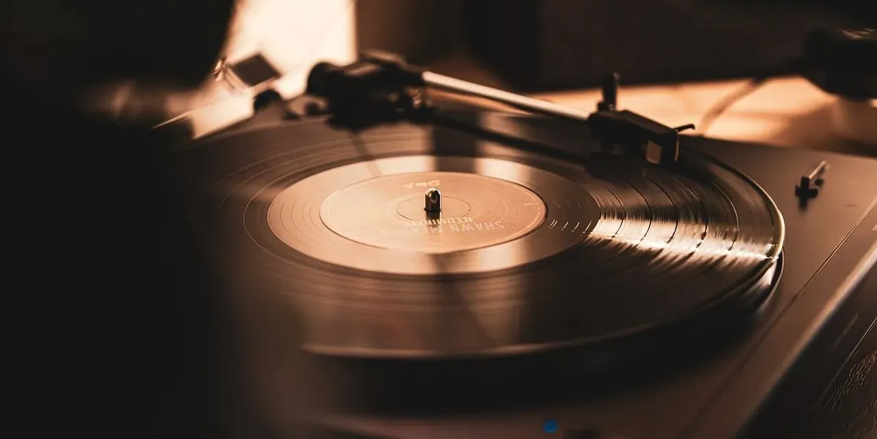 8. "Somebody That I Used to Know" - Gotye featuring Kimbra (Image Credits: Pixabay)