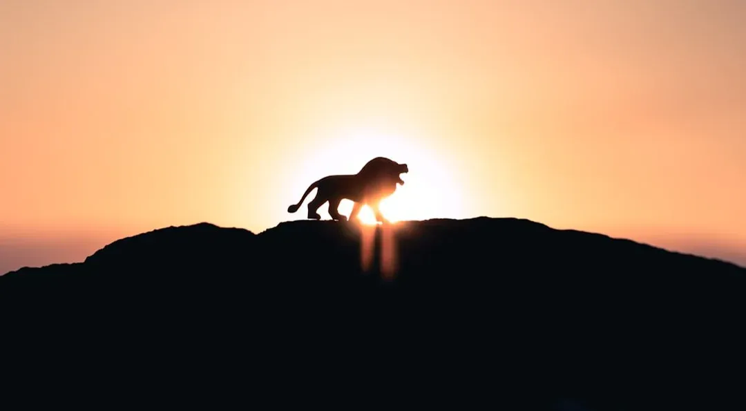 5. The Lion King (1994) (Image Credits: Unsplash)