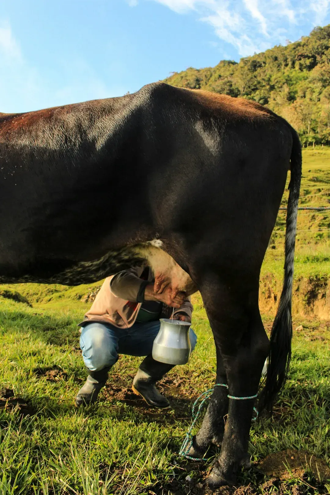 3. Norman Greenbaum - "Spirit in the Sky" (1969): From Rock Star to Dairy Farmer (Image Credits: Unsplash)