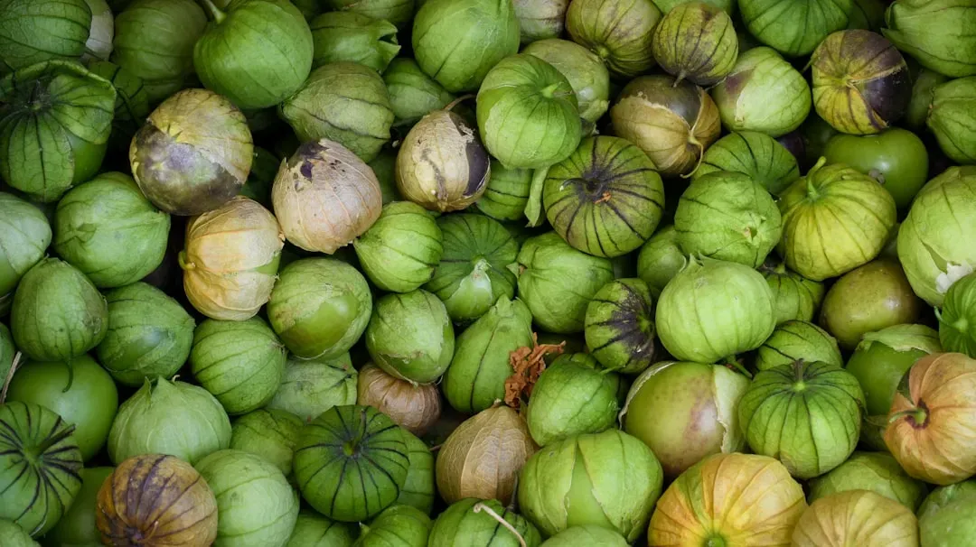 10. Fried Green Tomatoes from Fried Green Tomatoes (Image Credits: Unsplash)