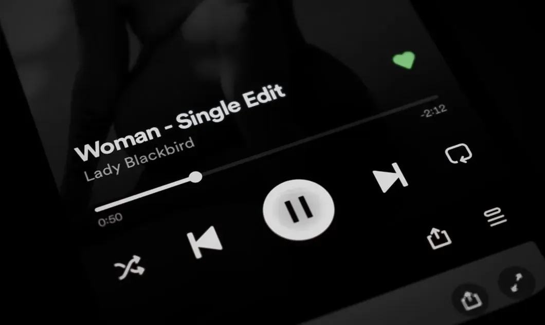 Songs as Tools for Identity Rebuilding After a Relationship Ends (Image Credits: Unsplash)