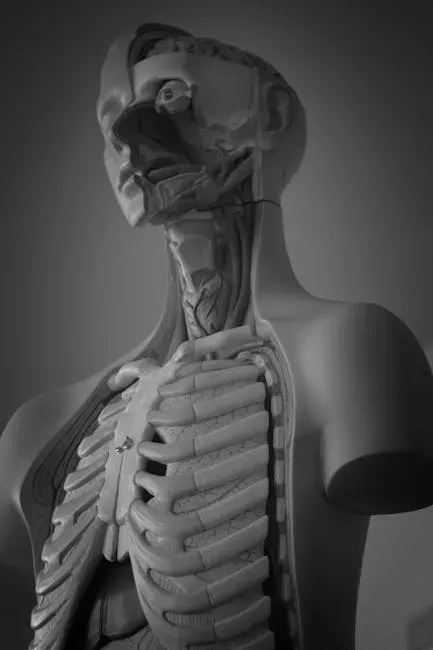 The Anatomy Hidden Inside Every Voice (Image Credits: Pexels)