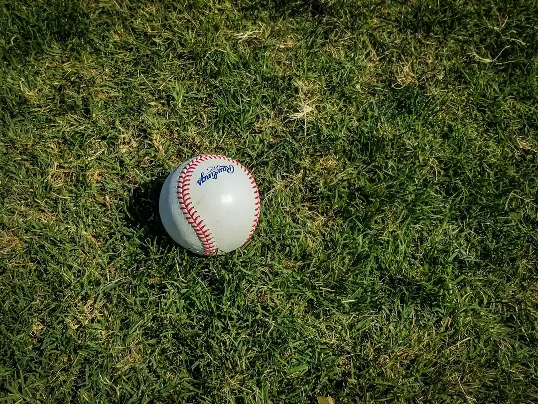 5. The Sandlot (1993) (Image Credits: Unsplash)