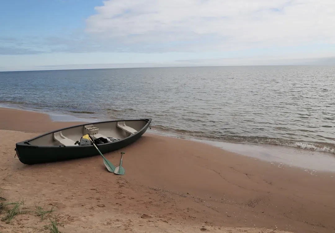 8. Deliverance by James Dickey (1970) (Image Credits: Unsplash)