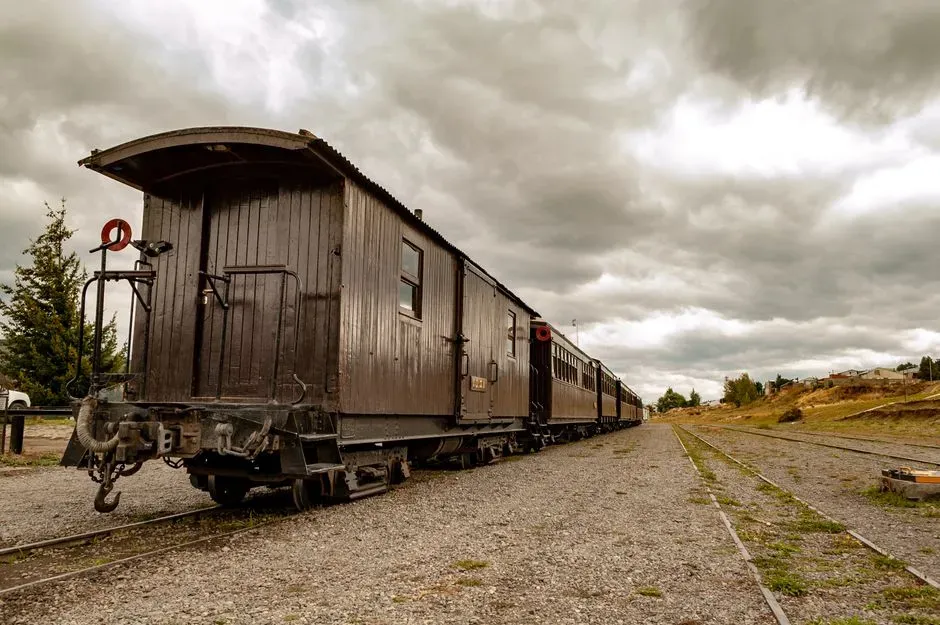 Wagon Master (1950) (Image Credits: Pexels)