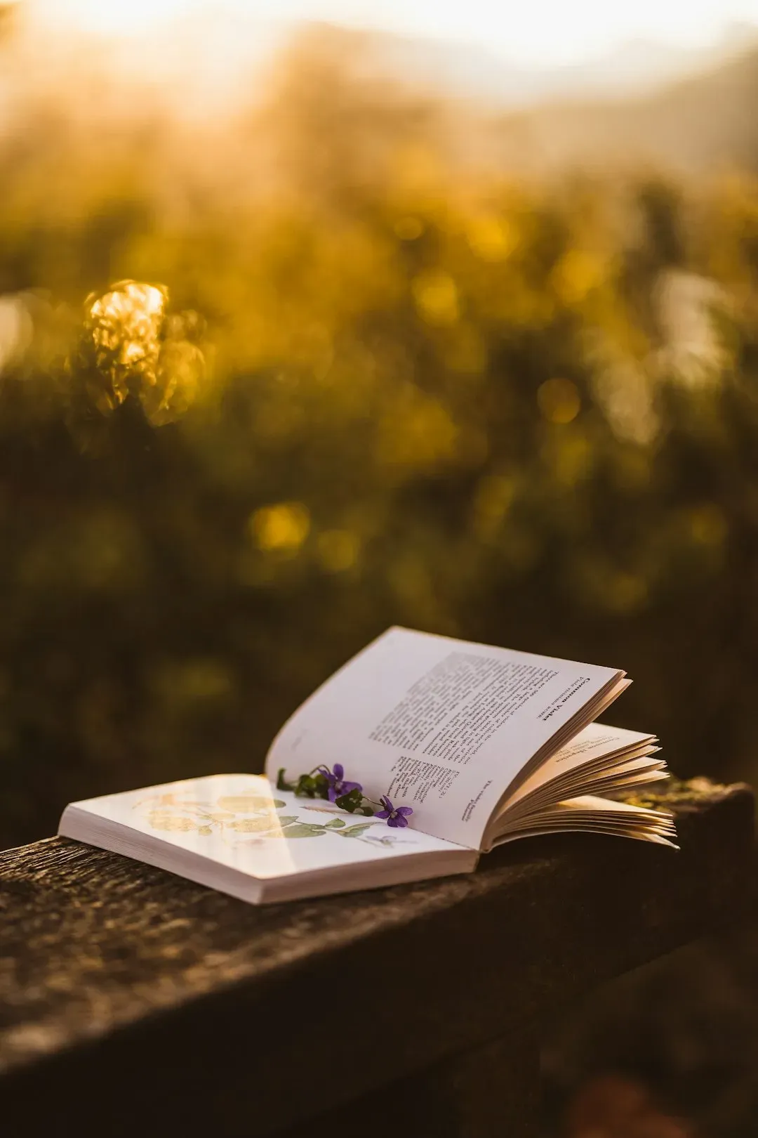 Kin by Tayari Jones (Image Credits: Unsplash)