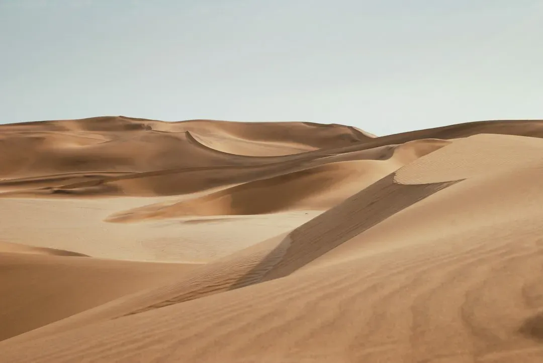 Dune (Image Credits: Unsplash)