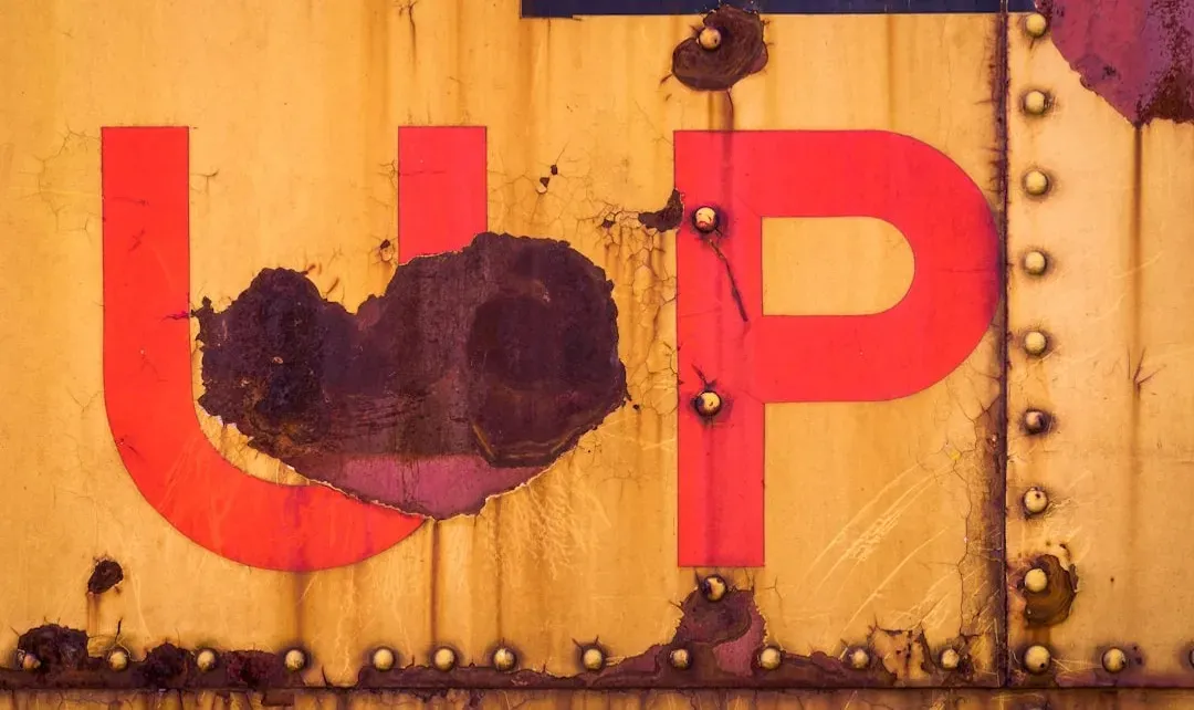 4. Up (2009) and a marriage told in four silent minutes (Image Credits: Unsplash)