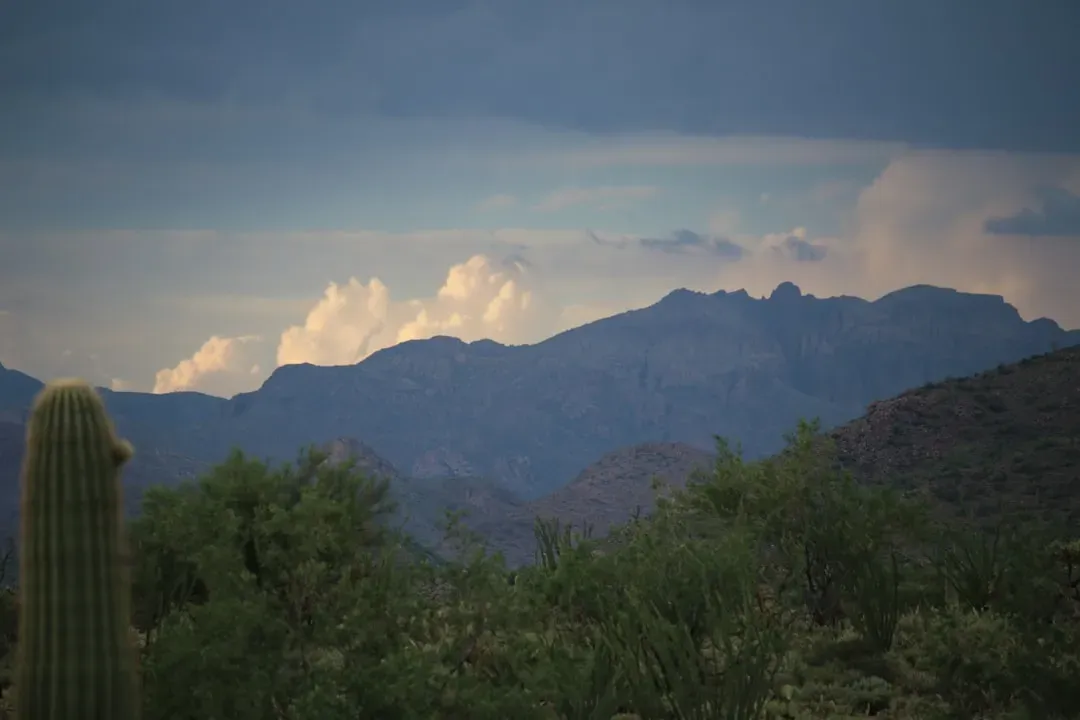 Yet Another Plus: The Monsoon Season Is Pure Theater (Image Credits: Unsplash)