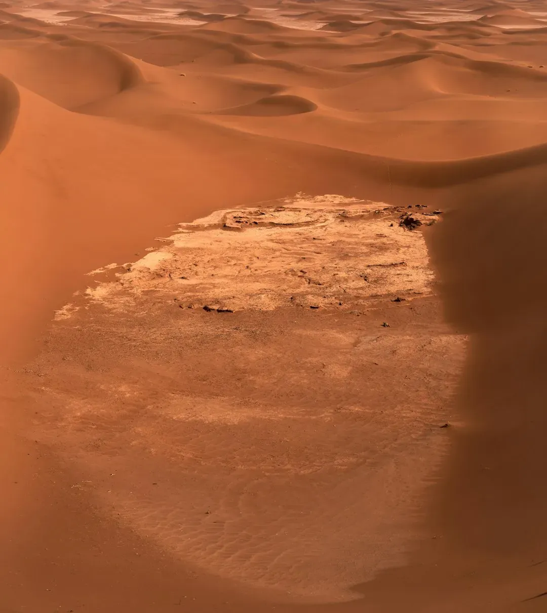 Mars: The Radiation-Soaked Desert (Image Credits: Unsplash)