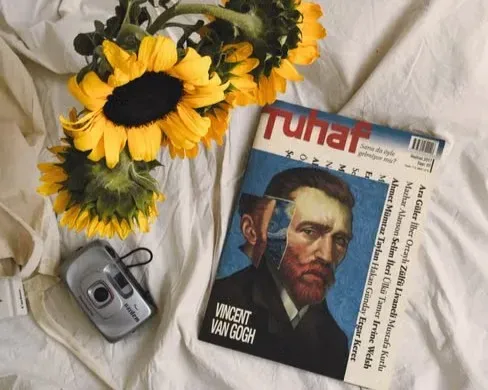 9. Vincent by Don McLean (Image Credits: Pexels)