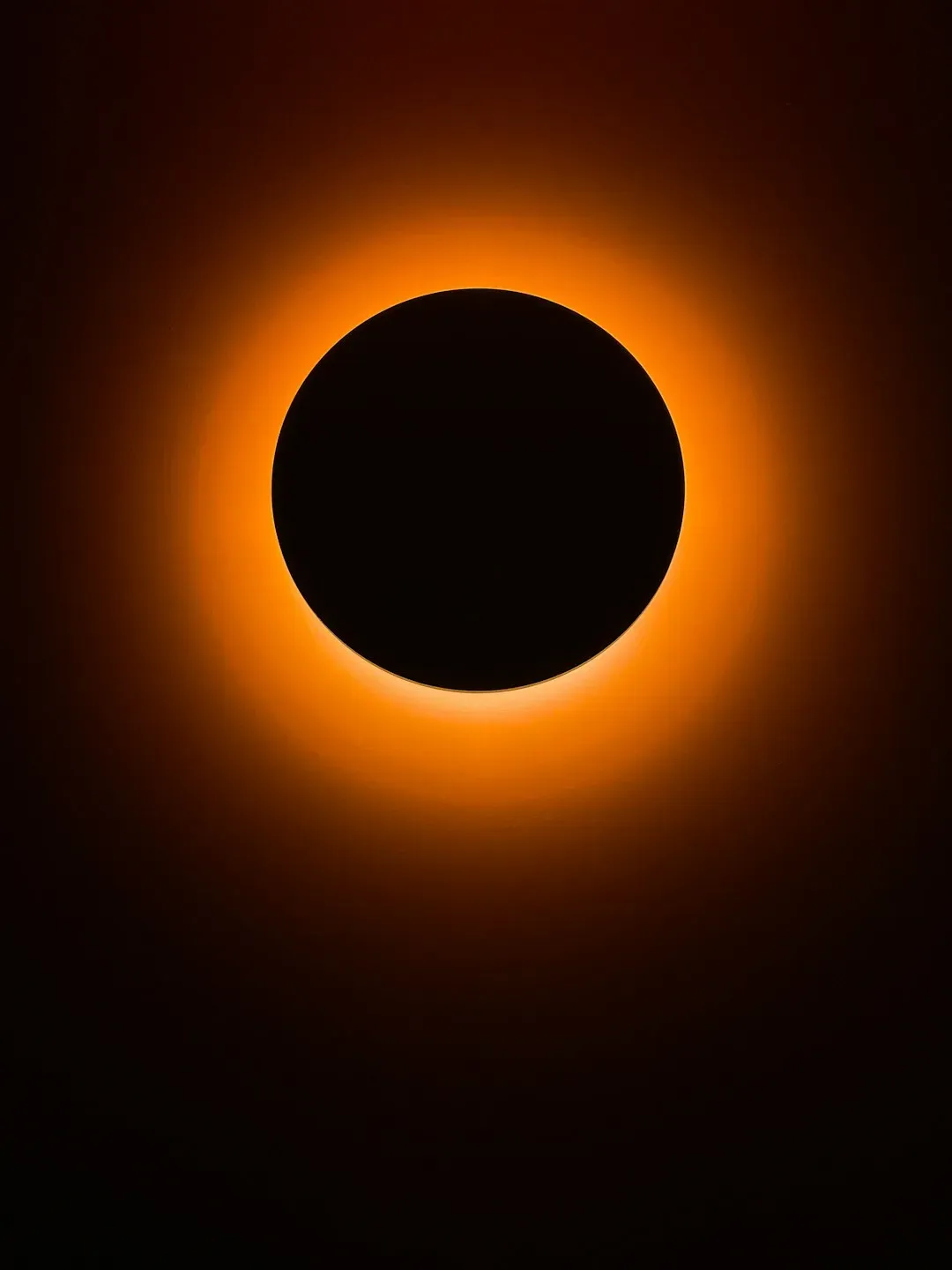 Tourism and Public Interest Are Already Surging (Image Credits: Unsplash)