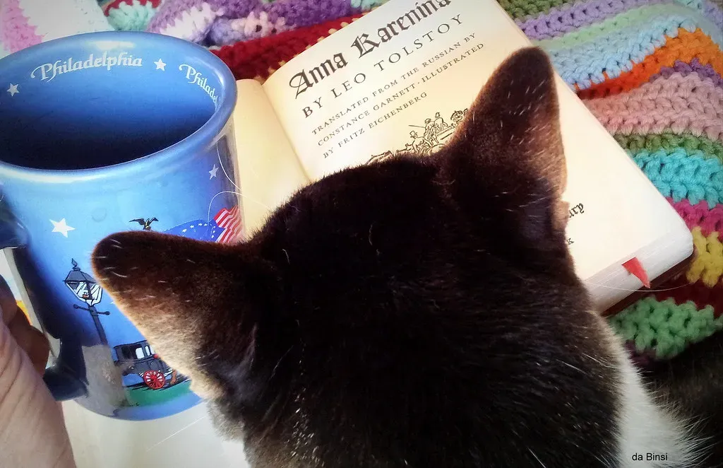 Anna Karenina by Leo Tolstoy (Image Credits: Flickr)