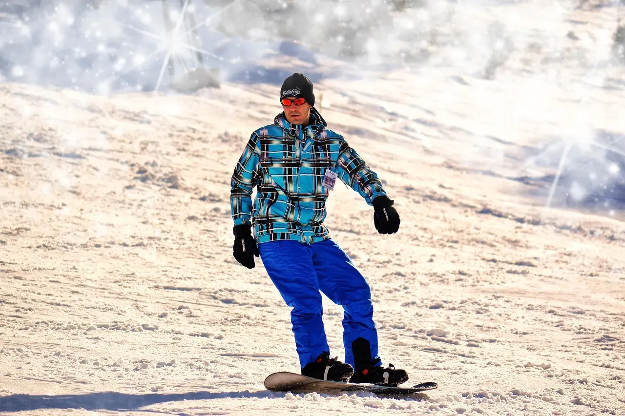 Shopify Began Selling Snowboards Online (Image Credits: Pixabay)