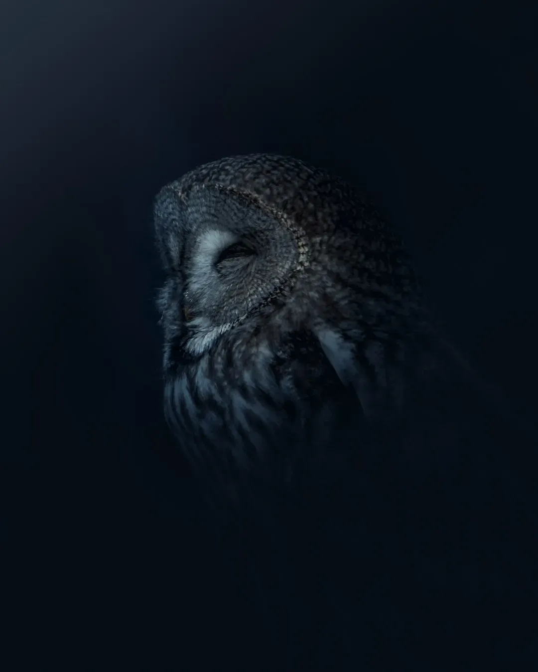 5. "Night Owl" - Gerry Rafferty (Image Credits: Unsplash)