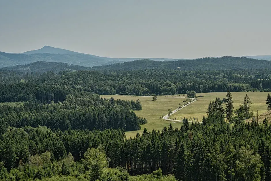 The Sudetenland Border: Where Appeasement Went to Die (Image Credits: Pexels)