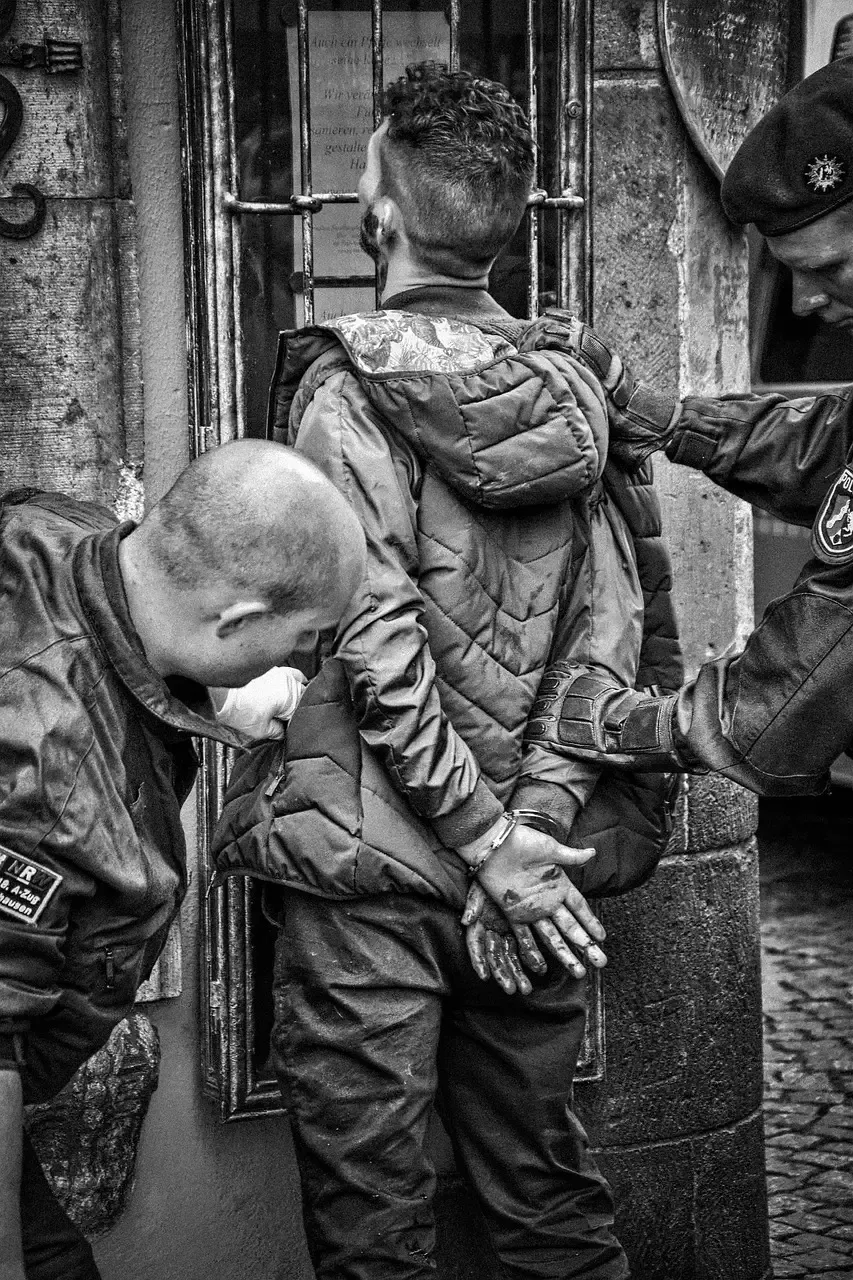 Saboteurs on Ice: The Vemork Heavy Water Raid (Image Credits: Pixabay)